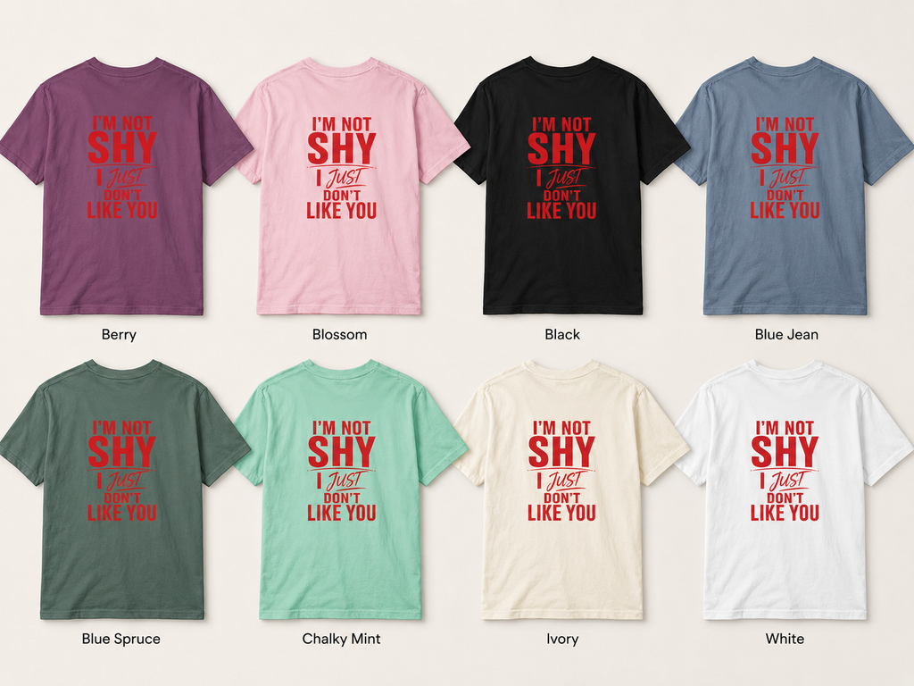 I'm Not Shy I Just Don't Like You T-shirt | Funny Statement Tee